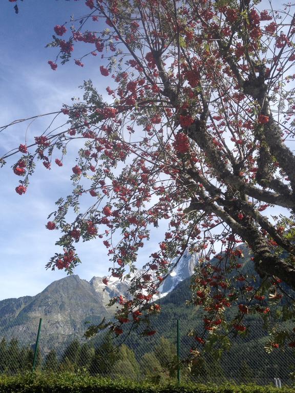 Sud Studio * Chamonix